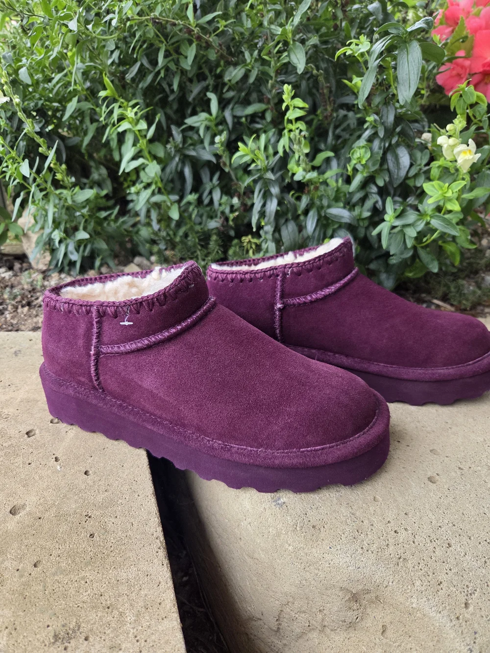 Bearpaw Lana Suede Ankle Bootie  Color:Eggplant Size:8  (NWOT)